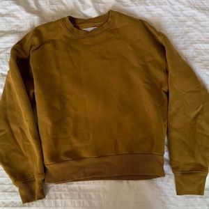 Everlane golden crewneck sweatshirt (size small)